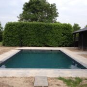 IMG_3280-e1403879702940 IMG_3280-e1403879702940